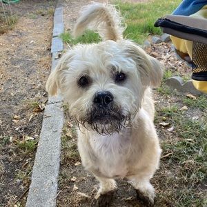 Meet your Posher, Hector